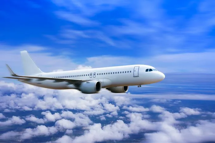 Flight tracking &mdash; Leo Taxis monitors your flight in real time